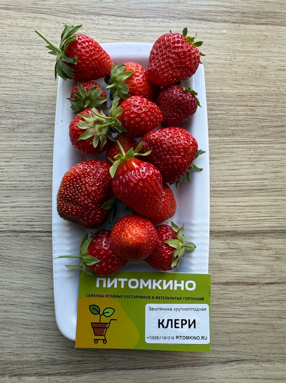 Земляника Крупноплодная Клери