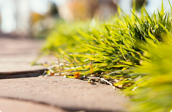 Укрепление краев дорожек весной: как предотвратить расползание плитки Укрепление краев дорожек весной: как предотвратить расползание плитки