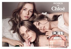 Chloe Roses De