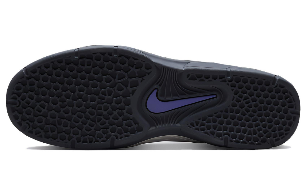Кроссовки Nike Sb Vertebrae