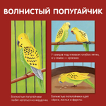 Мои домашние животные