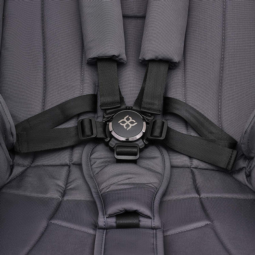 Коляска 2 в 1 Labala Raiz Edition Line 2025 Anthrazit