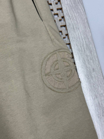 Спортивные штаны Dior&Stone Island