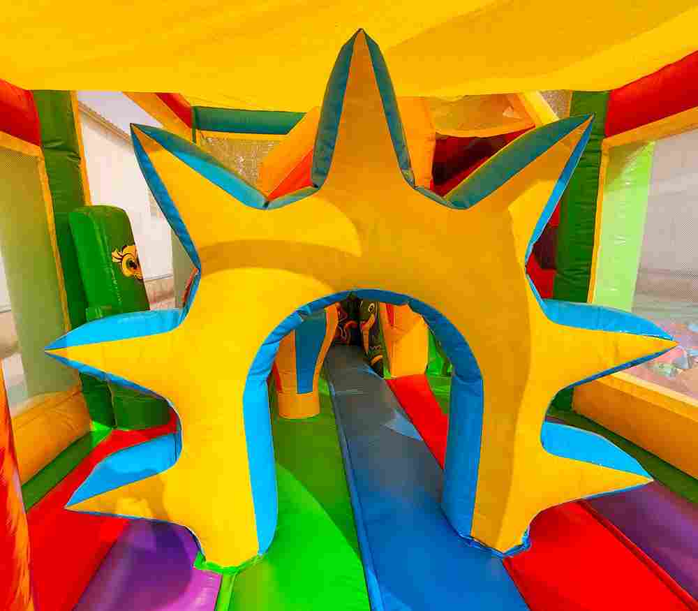 Коммерческий надувной батут «Попугаи и друзья 2» с крышей, 6x4x4 м