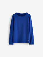 Лонгслив для мальчика Next N22-194, Синий