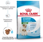 Royal Canin Mini Starter Сухой корм Роял Канин для щенков до 2 месяцев и матерей мини пород, 1 кг