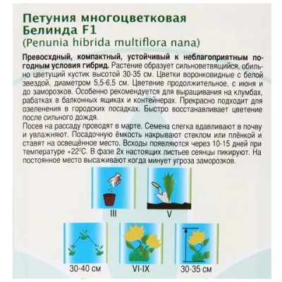 Семена Петуния Белинда двуцветная звезда 20шт