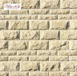 Тилл 450-10+455-10