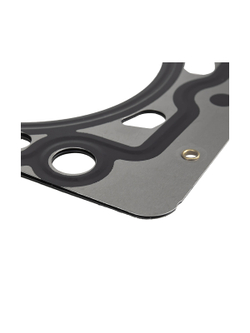 Прокладка ГБЦ BMW/M52/M54256S3 2.5L/2.8L/3.0L GANZ GIE11352