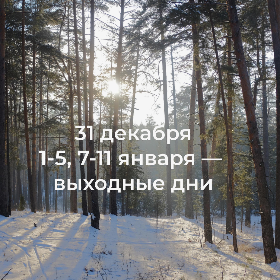 Шапки с флисом 