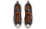 Кроссовки Nike Acg Mountain Fly 2 Low Gore-Tex