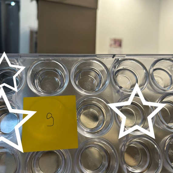 604-у | Форма "Двухуровневая" (275*135 мм)