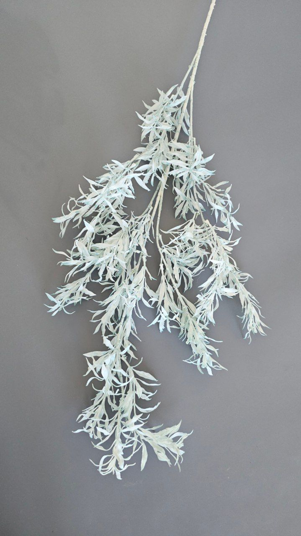 Ветка рускуса / Арт 5132