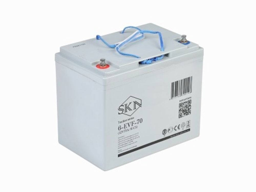 Тяговый аккумулятор SKN 6-EVF-80 (12V84A/H C5)