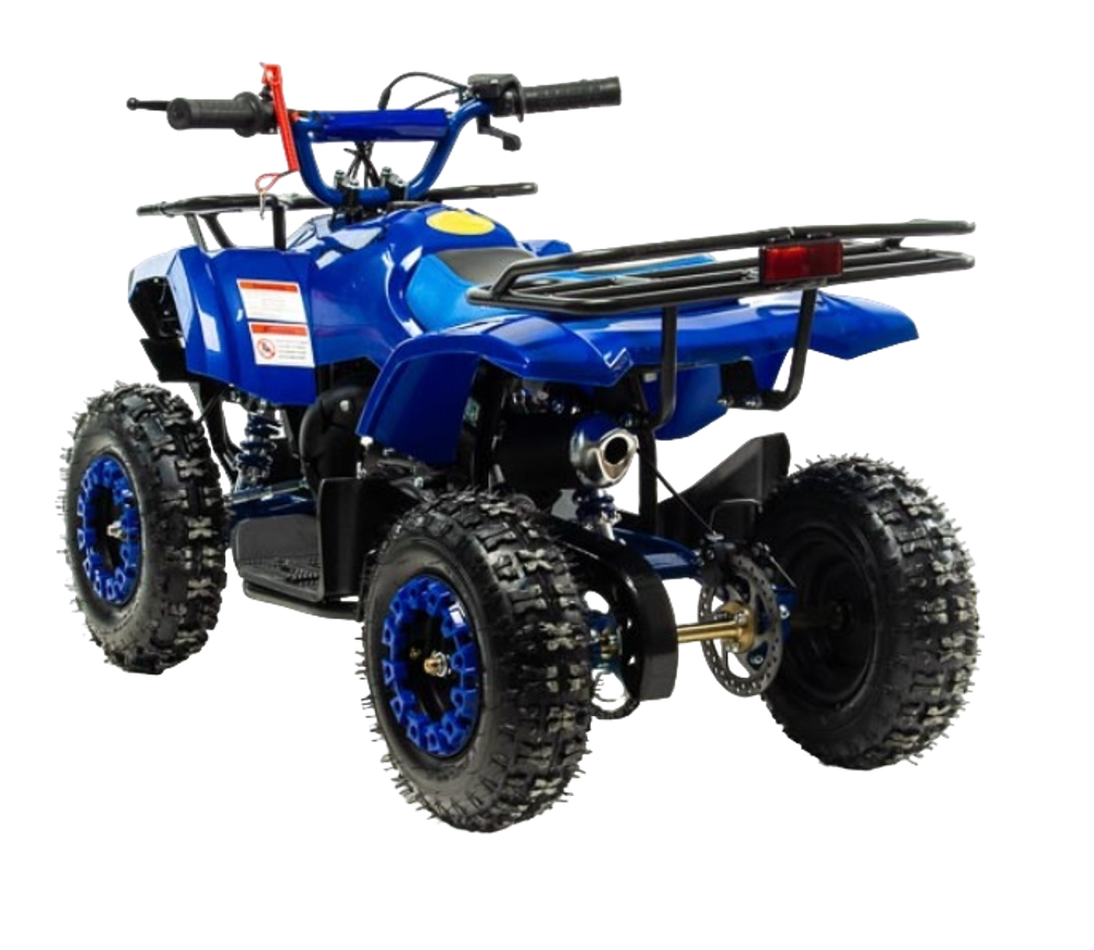 Квадроцикл Motoland 50 scorpion синий