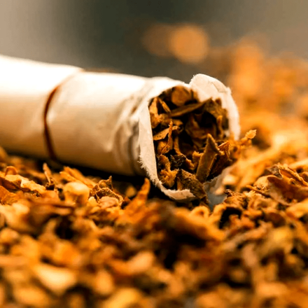 Табак абсолют (Индия)