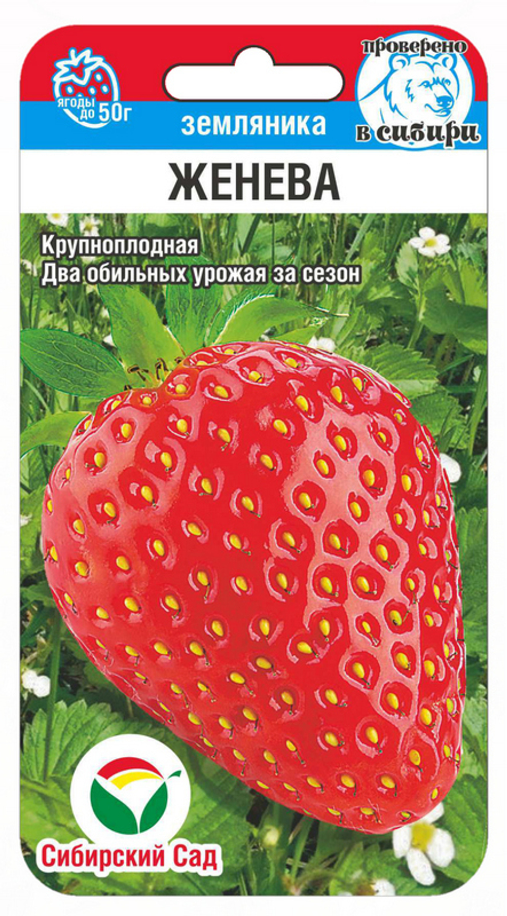 Земляника Женева 10шт Сибсад
