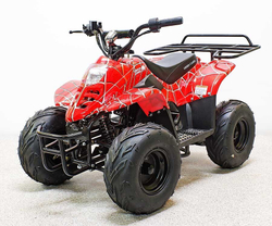 Купить Квадроцикл GreenCamel Гоби K51 (36V 800W R7 Цепь) быстросъем, ножной тормоз