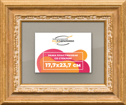 Рамка 17,7x23,7 для постера и фотографий