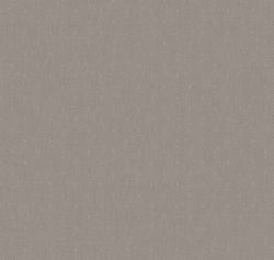 Сканди Дзен Сканди