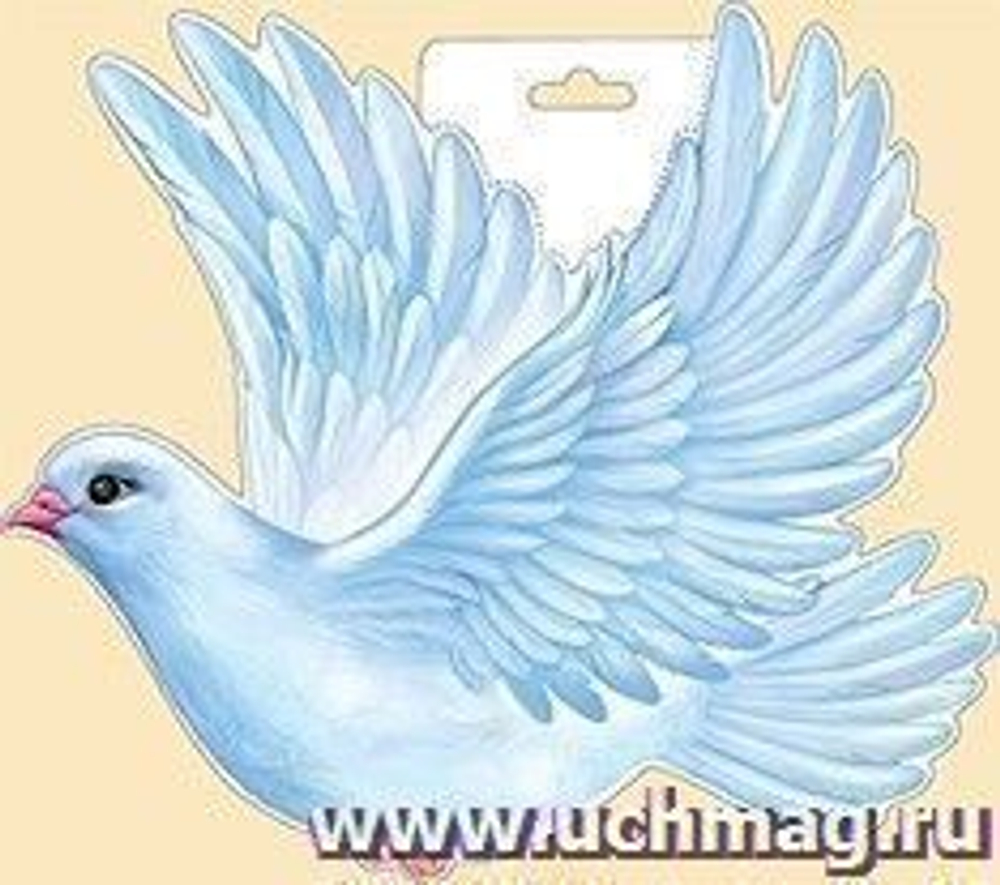 Плакат 29.959.00 без названия (плакат) ГОЛУБЬ 46071
