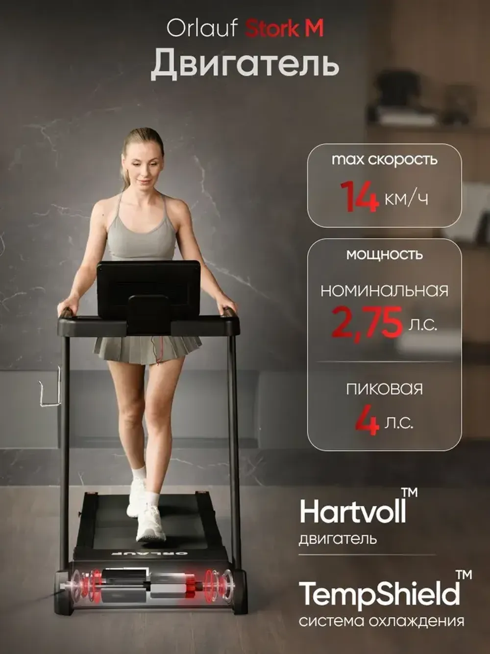 Беговая дорожка Orlauf Stork M