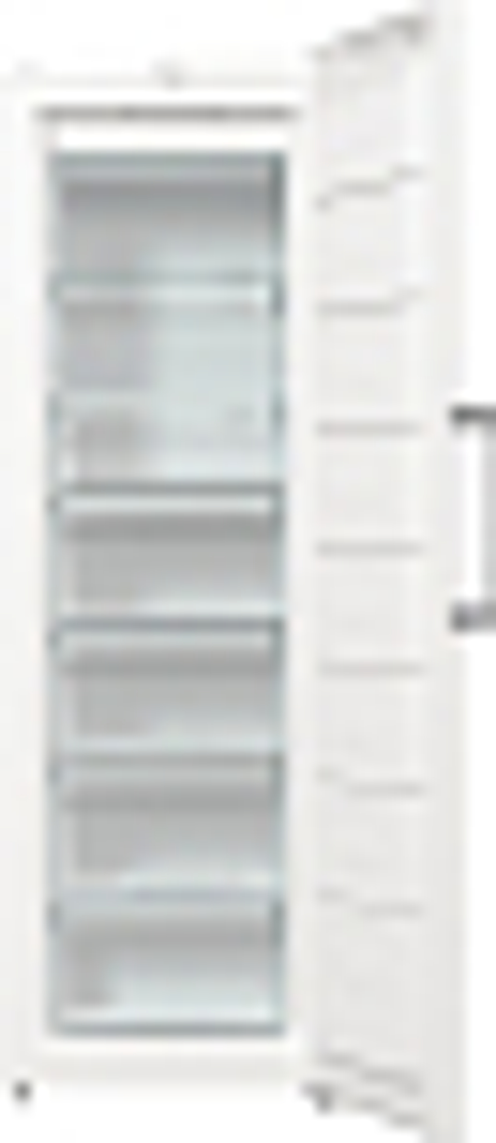 Морозильный шкаф Gorenje FN619FEW5