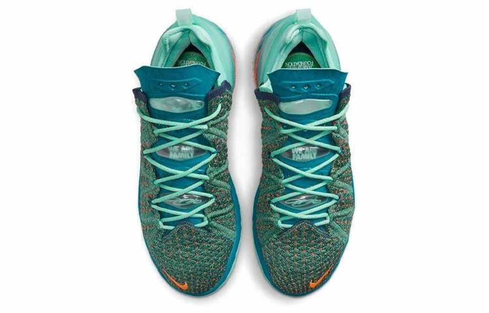 Кроссовки Nike Lebron 18 "We Are Family"