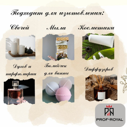 Prof-Royal отдушка парфюмерная BAGHEERA для свечей, мыла и диффузоров, 100 мл