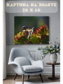 Картина на стену 40 X 50 Улитка
