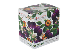 Кружка Слива в подарочной упаковке Maxwell & Williams