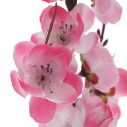 GAEM Цветочная композиция "Сакура", L12 W8 H28 см