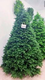 Ель искусственная «Изящная» (Литая хвоя) 150 см / 1,5 м