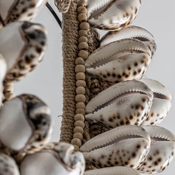 Фигурные ракушки 20557