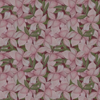 Роскошные цветы магнолии