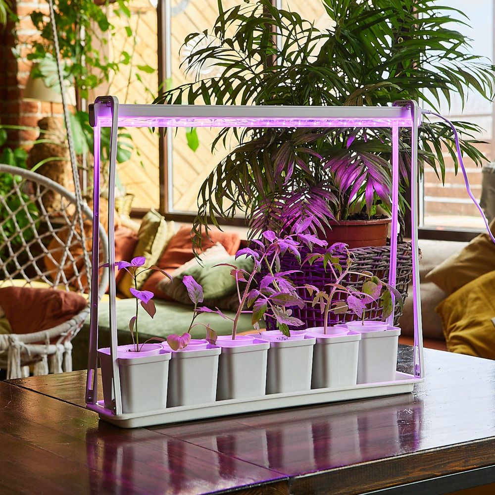 ULT-P56-10W-SPSB IP20 MARBLE ECONOM Набор Минисад. светильник для растений светодиодный с подставкой. Спектр для рассады и цветения. 6 кашпо в-к. мраморные. TM Uniel