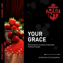 Табак для кальяна JENT Classic с ароматом Клубника и специи (Your Grace), 25 гр