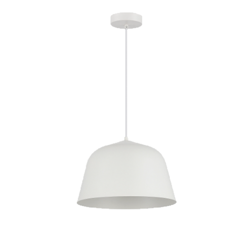Подвесной светильник Evoluce BLANK SLE1805-503-01