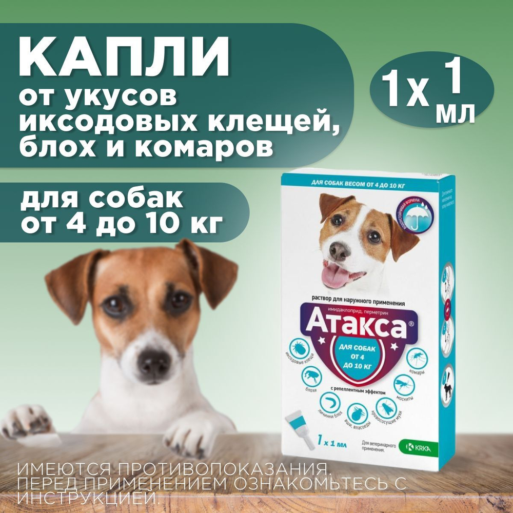 Капли от блох, клещей, вшей, власоедов, а так же кровососущих мух и комаров для собак от 4-10 кг Атакса (KRKA), 1 пипетка Имидаклоприд/Перметрин