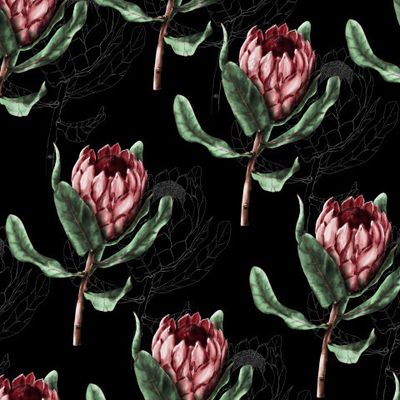 Протея темный фон