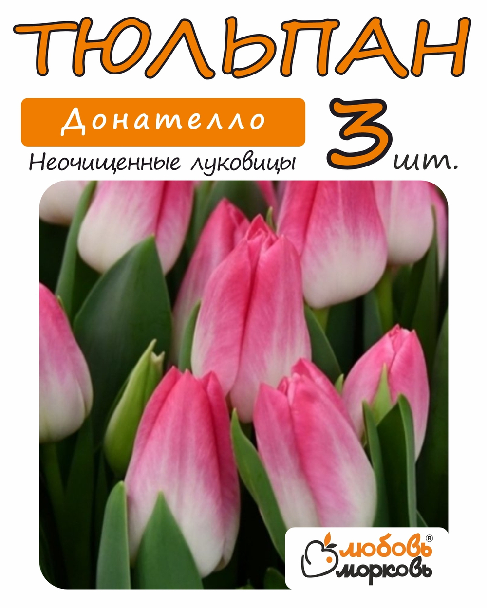Тюльпан Луковица, Донателло, 3+ шт