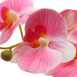 GAEM Цветочная композиция "Орхидея", L16 W9,5 H42 см