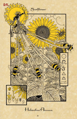 Оракул Волшебный Ботанический