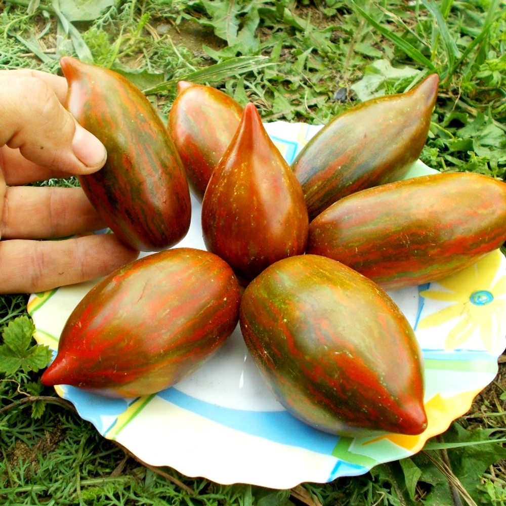 Помидоры Сластёна - Sweet Tooth Tomato