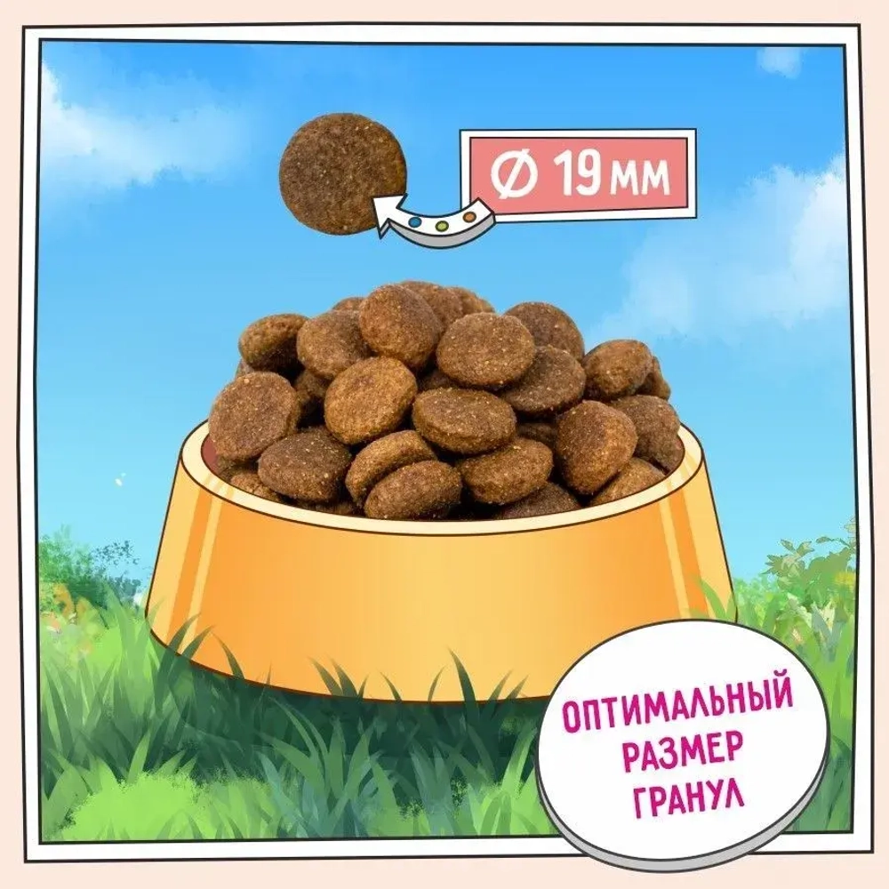 Сухой корм для собак ZILLII (Зилли) Dog Adult Large Breed 3кг индейка и ягненок для крупных пород