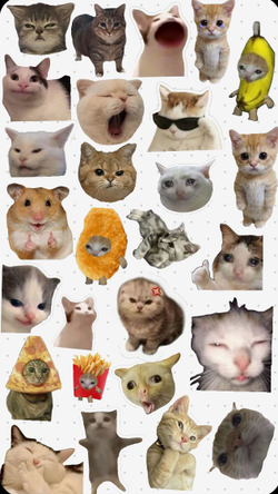 Печать на схарной бумаге А4