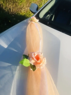 Лента на капот