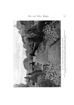 Gardens for small country houses | Gertrude Jekyll