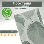 Простыня 2-х спальная 175х210 Хлопок Поплин Зеленые листья