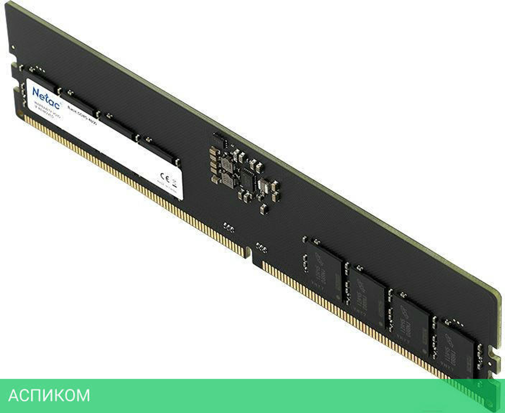 Оперативная память Netac Basic DDR5 16GB NTBSD5P56SP-16 RTL